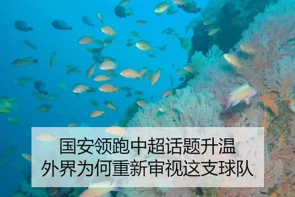 国安领跑中超话题升温 外界为何重新审视这支球队