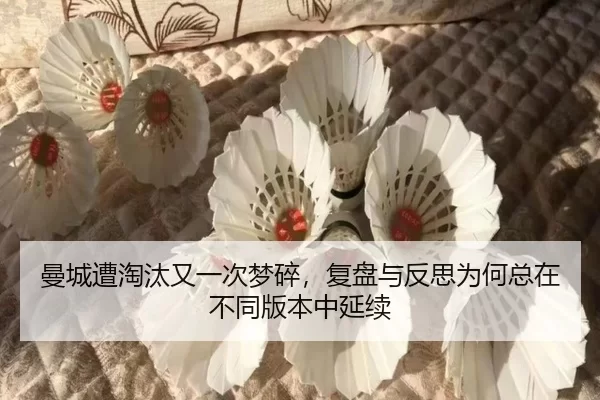 man-cheng-zao-tao-tai-you-yi-ci-meng-sui-fu-pan-yu-fan-si-wei-he-zong-zai-bu-tong-ban-ben-zhong-yan-xu-2-236.jpg